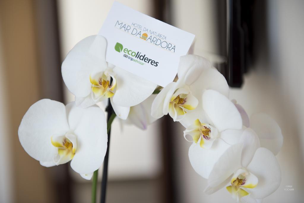 Hotel Naturaleza Mar Da Ardora Wellness & Spa Финистерре Экстерьер фото